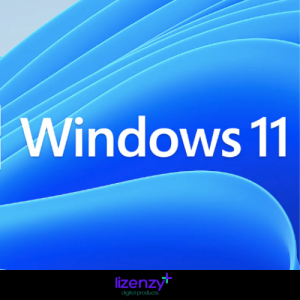 Windows 11 Home Dijital Lisans Anahtarı