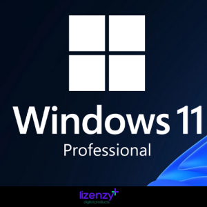 Windows 11 Pro Orijinal Lisans Anahtarı